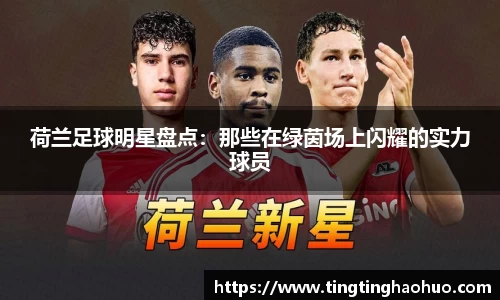 荷兰足球明星盘点：那些在绿茵场上闪耀的实力球员