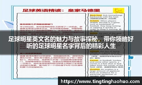 足球明星英文名的魅力与故事探秘，带你领略好听的足球明星名字背后的精彩人生